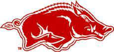 hog2.jpg (18380 bytes)